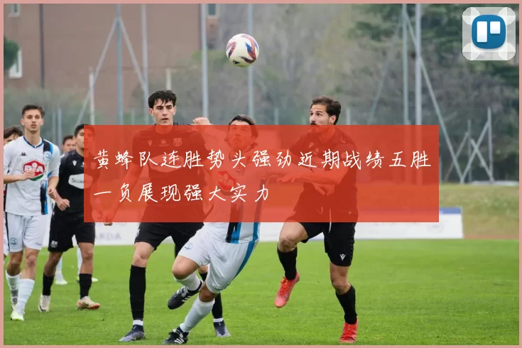 黄蜂队连胜势头强劲近期战绩五胜一负展现强大实力